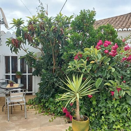 הוילה Pedralva Casa Dos Avos מראה חיצוני תמונה