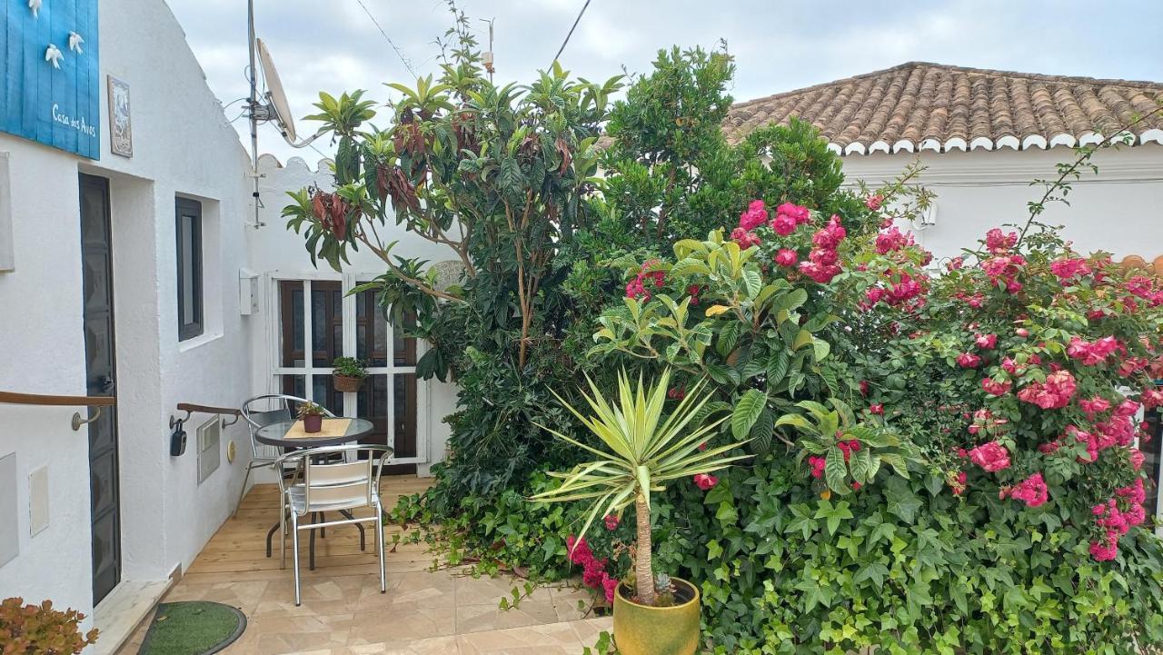 הוילה Pedralva Casa Dos Avos מראה חיצוני תמונה